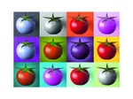 Pop Art - Tomaten