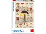 Pilz-Collage