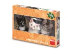 XXL Teile - Panorama-Puzzle - Three Kittens
