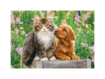 2 Puzzles -  Hund und Katze im Garten
