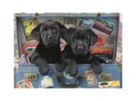Puppies in a Trunk