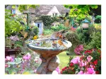 Sommer-Vögel