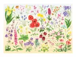 Wildblumen