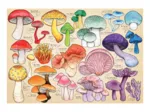 Pilz-Manie