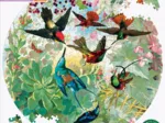 Hummingbirds