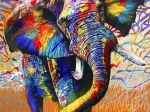 African Colours