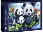 Panda Family