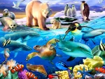 Oceans of Life