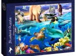 Oceans of Life