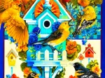 The Avian Sanctuary
