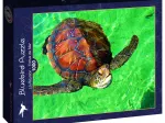 La Réunion - Tortue de Mer