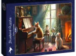 Katzenkonzert