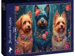 Hundetrio