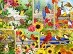 Federn und Co.