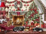 Cosy Fireplace