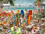Hunde und Katzen am Strand