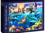 Oceans of Life