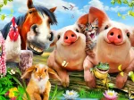 Petting Farm