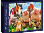 Petting Farm