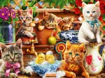 Kittens in the Potting Shed