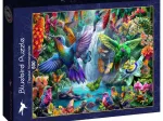 Tropical Hummingbirds