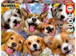 Puppies Selfie. Howard Robinson