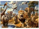 Wild Animals