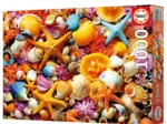 Shell Collage