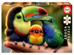 Baby Birds