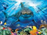 Great White Shark