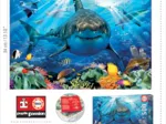 Great White Shark