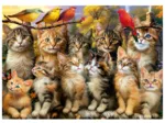 Kittens and Birds