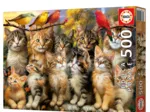 Kittens and Birds