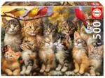 Kittens and Birds