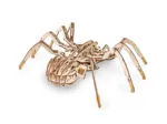 3D Holzpuzzle -  Spinne