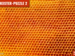 MEISTER-PUZZLE 2: Honigwaben