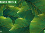 MEISTER-PUZZLE 3: Blätter