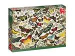Butterfly Poster