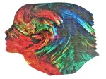 Wooden Puzzle - Internal Energies