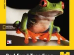 Red-Eyed Tree Frog Mini