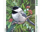XXL Teile - Black-capped Chickadee