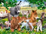 On the Farm