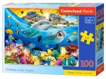 Dolphins in the Tropics