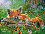 Foxy Dreams