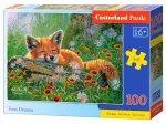Foxy Dreams