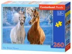The Winter Horses