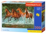 Kaskadenlauf