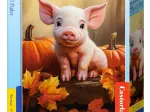 Süßes Schweinchen im Herbst