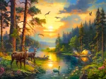 Sonnenuntergang am Forest River