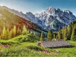 Summer in the Alps